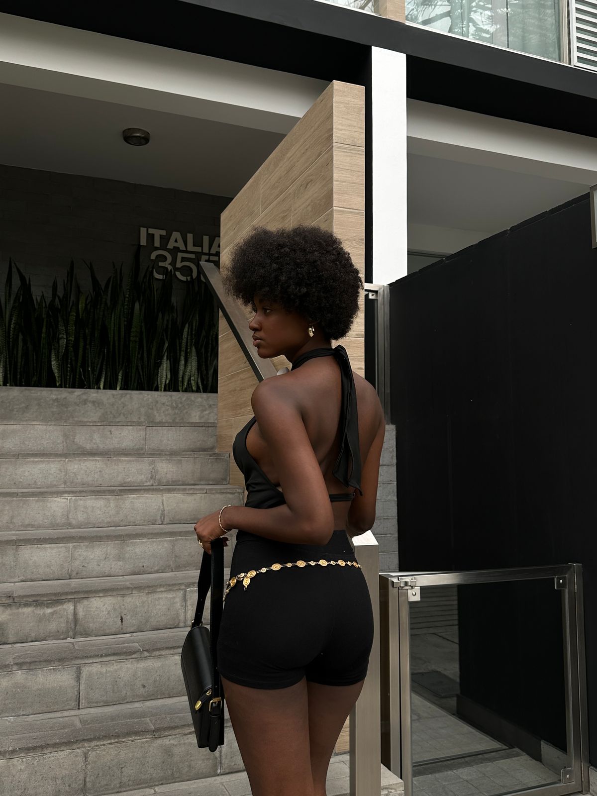 TOP ORCHID NEGRO