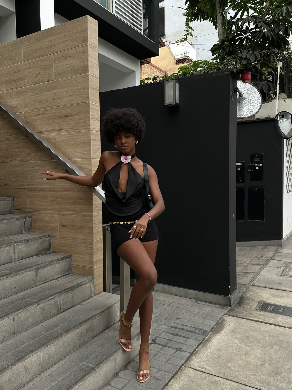 TOP ORCHID NEGRO